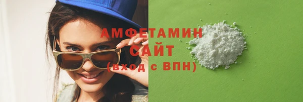 молекула духа Туринск