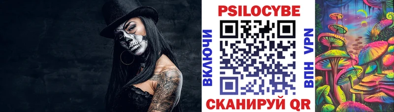 Псилоцибиновые грибы Psilocybe  Янаул 