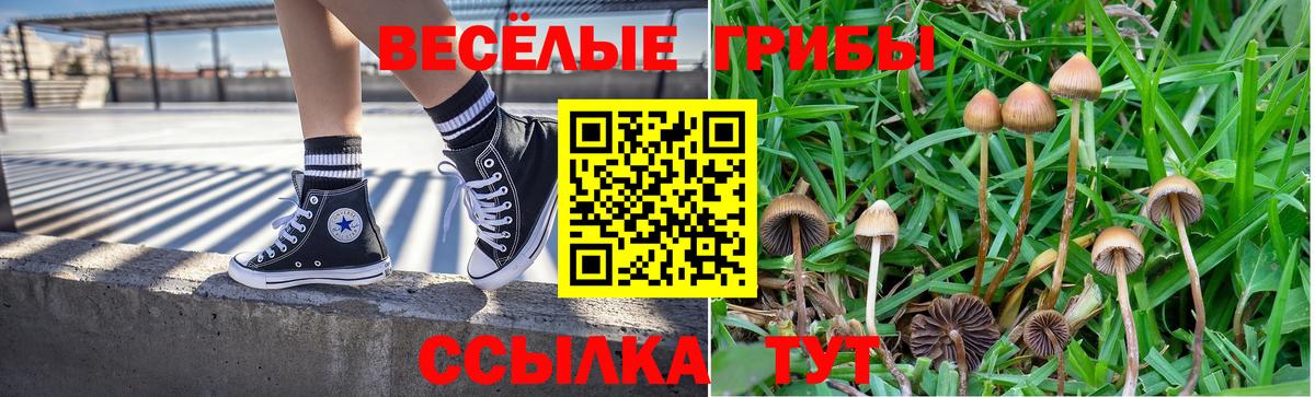 даркнет сайт  Вход с VPN  Псилоцибиновые грибы Psilocybine cubensis  Янаул  Галлюциногенные грибы GOLDEN TEACHER 