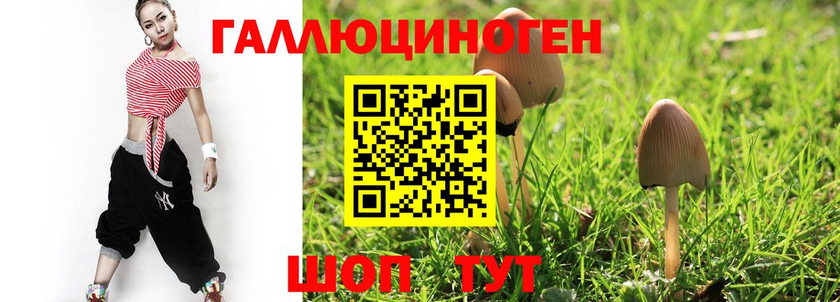 Псилоцибиновые грибы Psilocybe Янаул